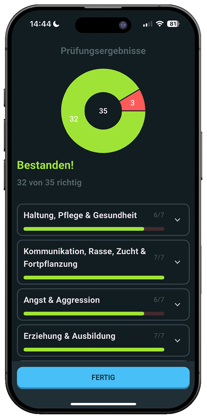 Hundeführerschein Online iPhone Screenshot